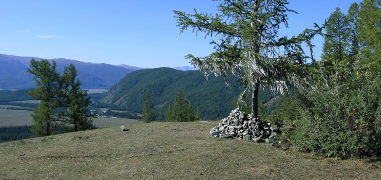 Шаманское дерево